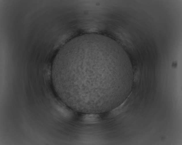 X0000091510179200708311235