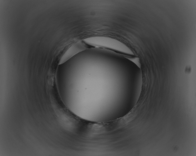 X0000091510180200708311235