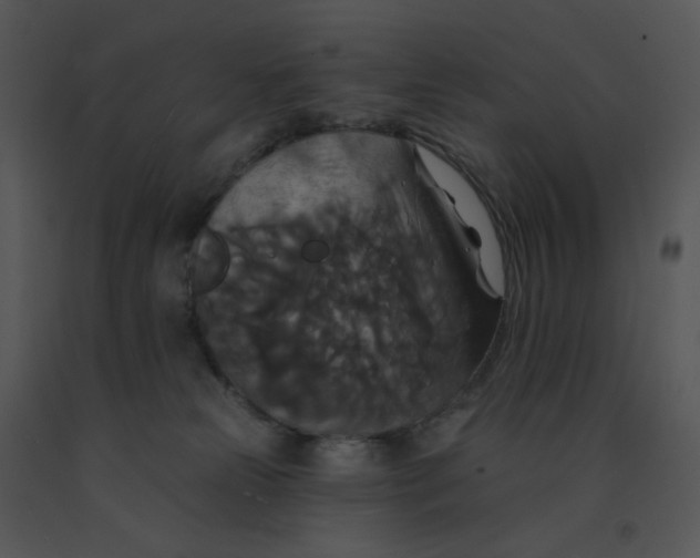 X0000091510181200708311235