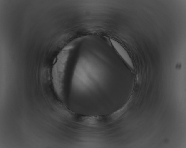 X0000091510182200708311235