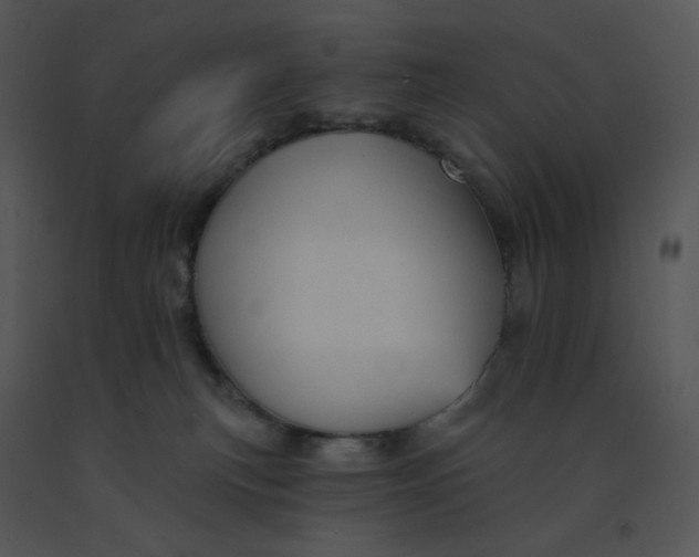 X0000091510183200708311235