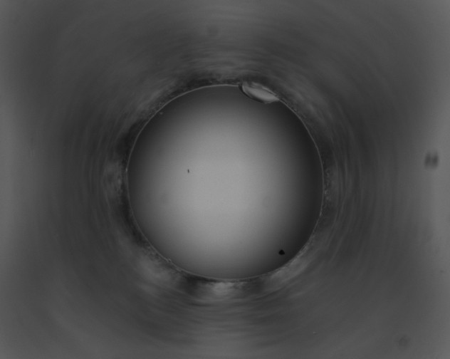 X0000091510184200708311235