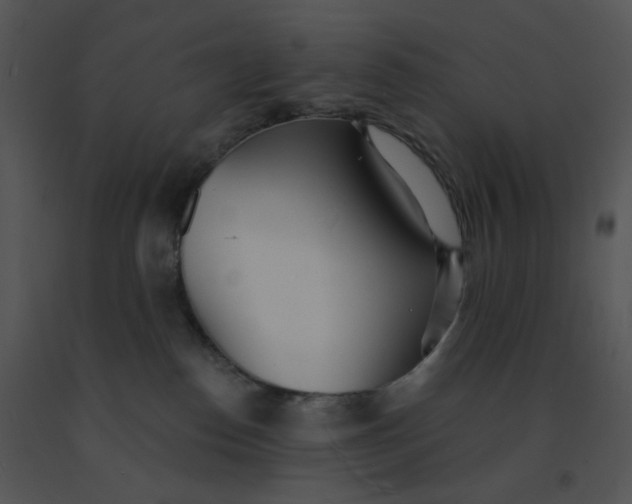 X0000091510186200708311235