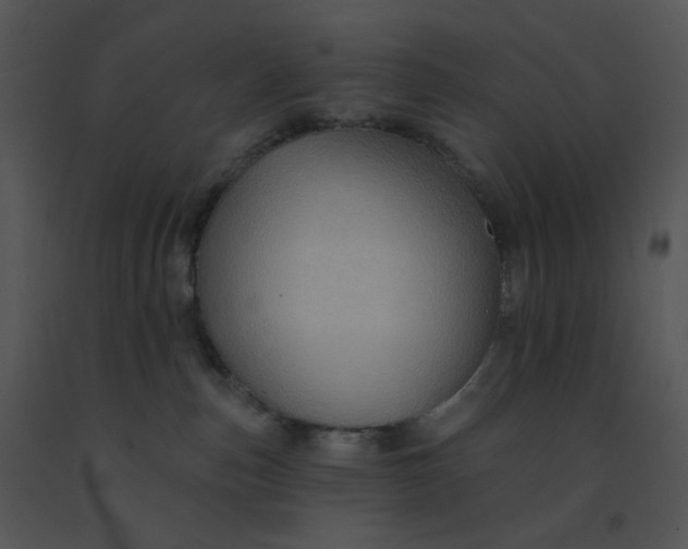 X0000091510187200708311235