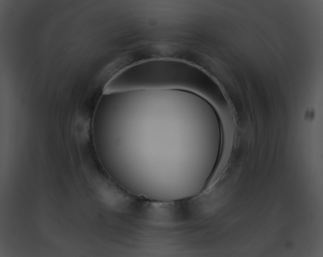 X0000091510188200708311235