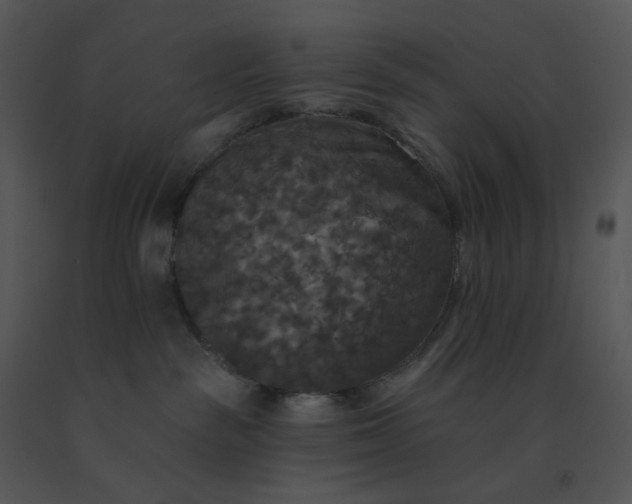 X0000091510189200708311235