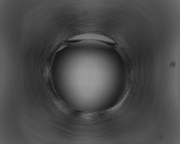 X0000091510190200708311235