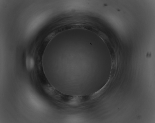 X0000091510191200708311235