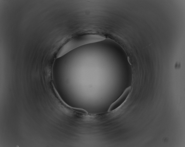 X0000091510192200708311235