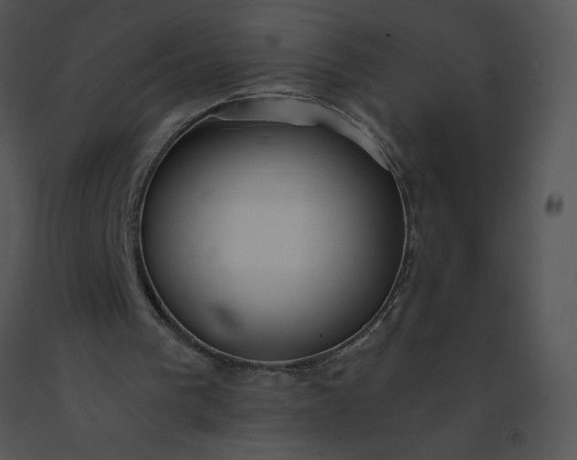 X0000091510193200708311234