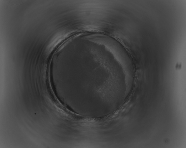 X0000091510194200708311234