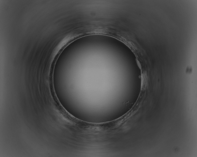 X0000091510195200708311234