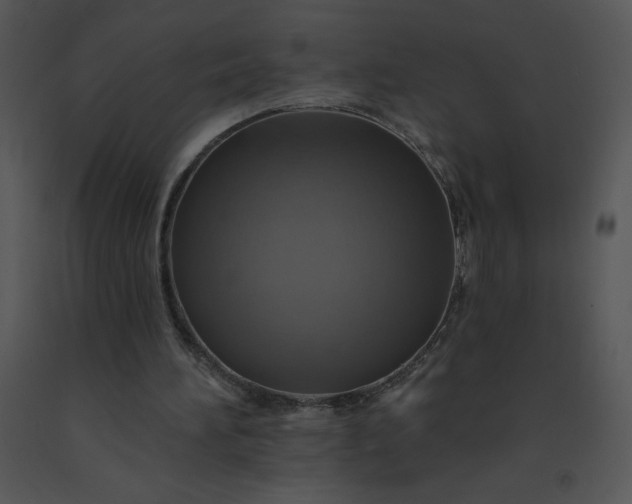 X0000091510196200708311234