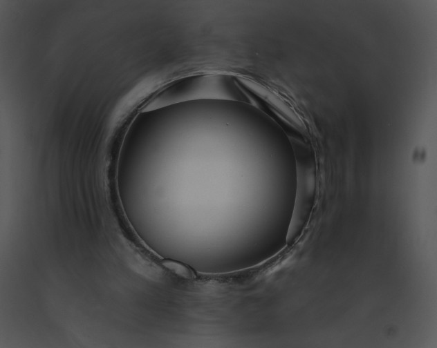 X0000091510197200708311234