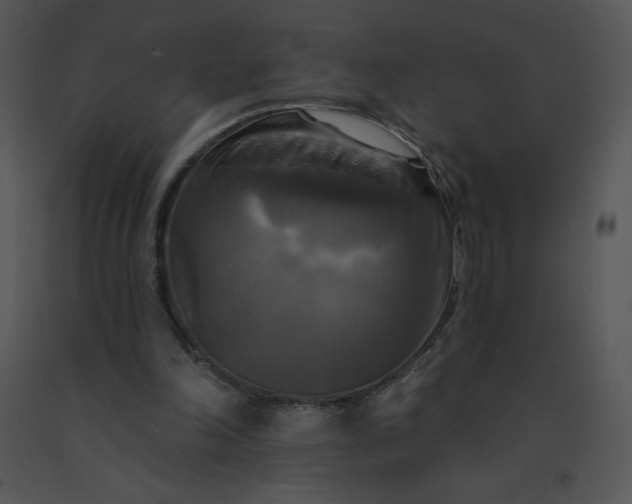 X0000091510198200708311234