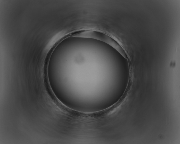 X0000091510199200708311234