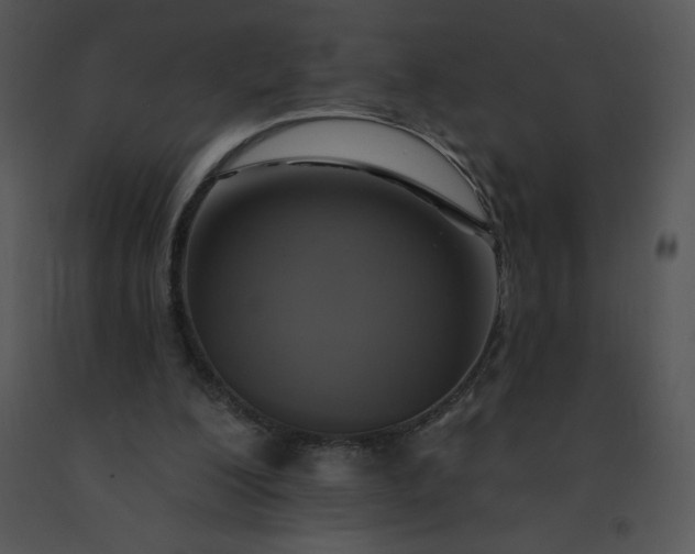 X0000091510200200708311234