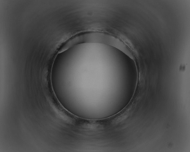 X0000091510201200708311234