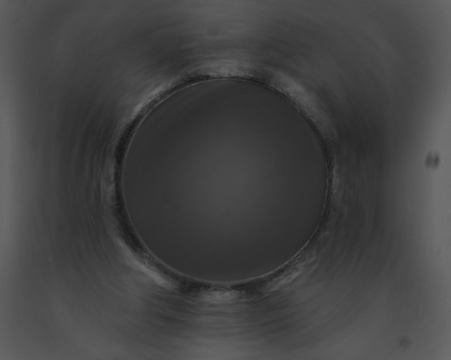 X0000091510202200708311234