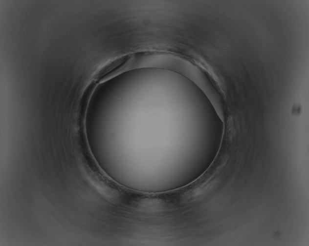 X0000091510203200708311234