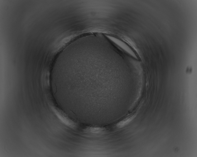 X0000091510205200708311234