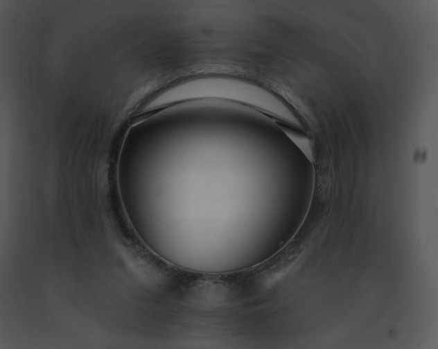 X0000091510207200708311234