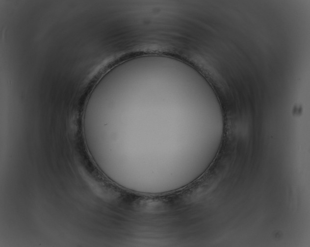 X0000091510208200708311234