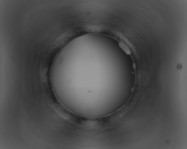 X0000091510209200708311234