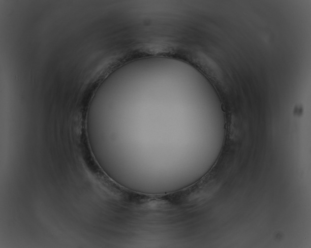 X0000091510210200708311234