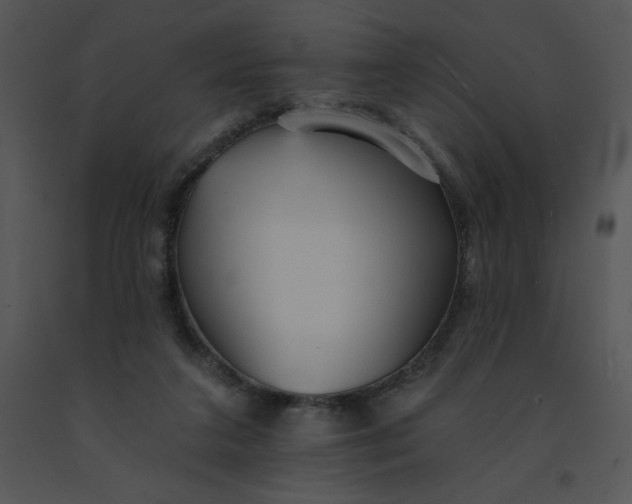 X0000091510211200708311234