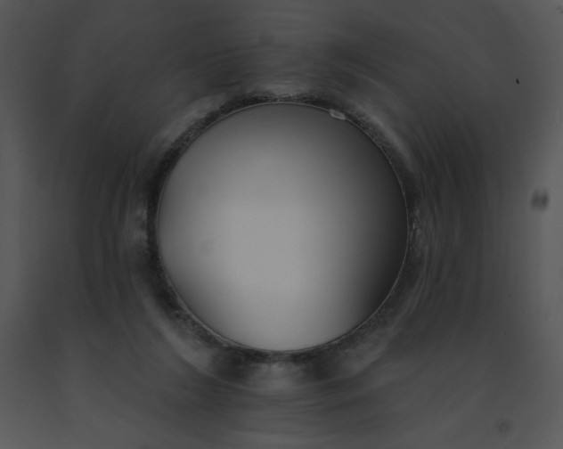 X0000091510212200708311234