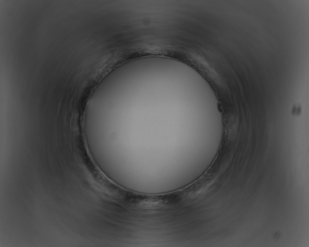 X0000091510213200708311234