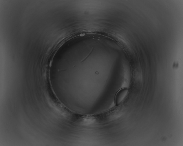 X0000091510214200708311234