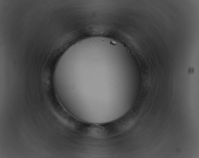 X0000091510215200708311234