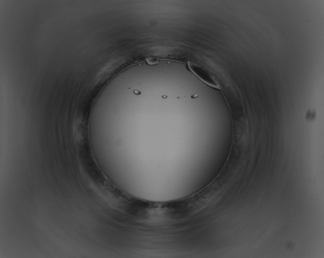 X0000091510216200708311234