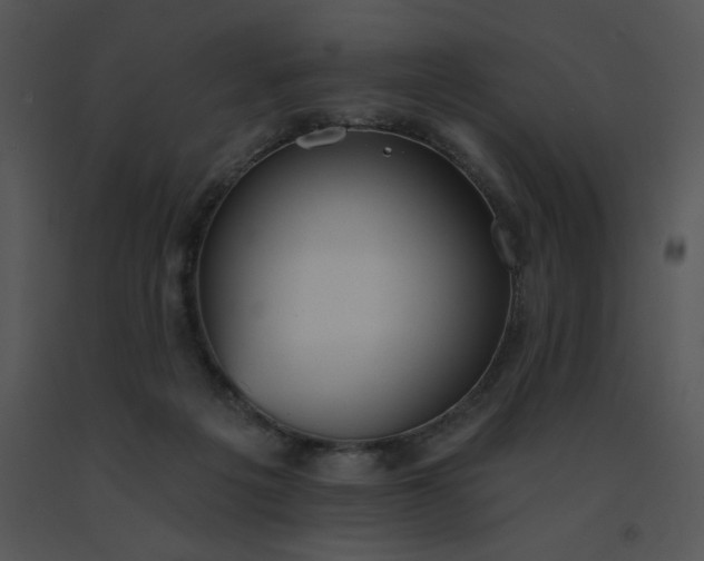 X0000091510217200708311234