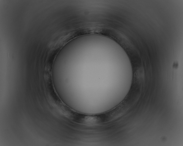 X0000091510218200708311234