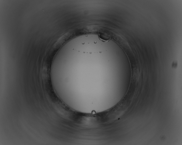 X0000091510220200708311234