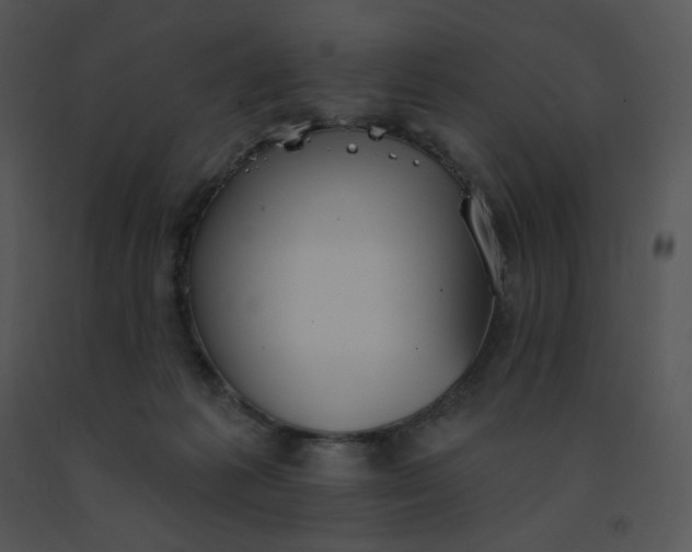 X0000091510221200708311234