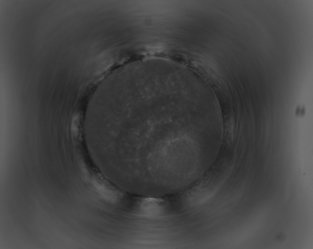 X0000091510222200708311234