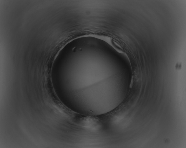 X0000091510223200708311234