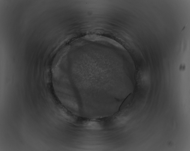 X0000091510224200708311234