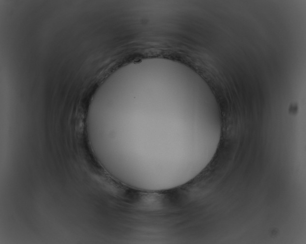 X0000091510226200708311234