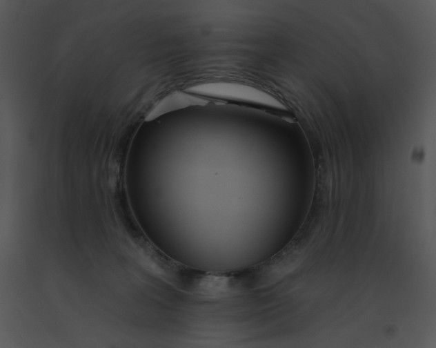 X0000091510227200708311234