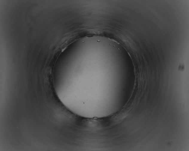 X0000091510229200708311234