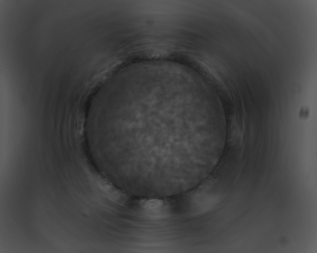 X0000091510230200708311234