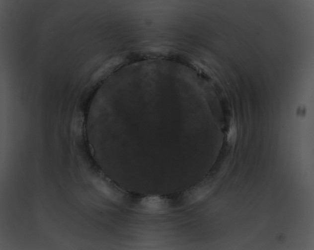 X0000091510231200708311234