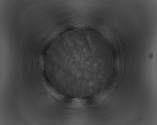 X0000091510234200708311234