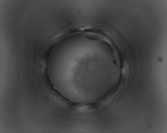 X0000091510235200708311234