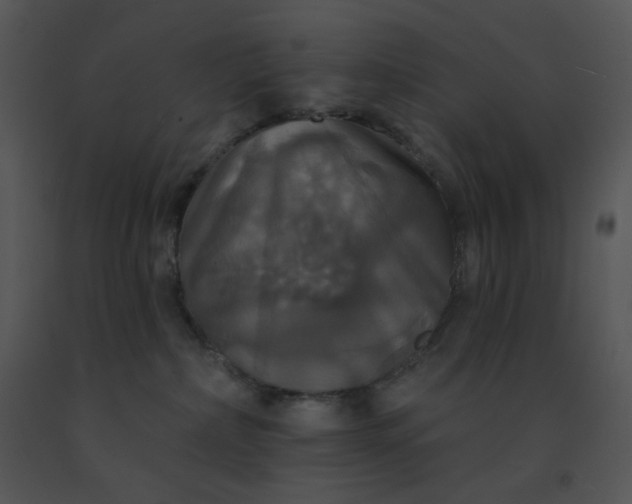 X0000091510236200708311234